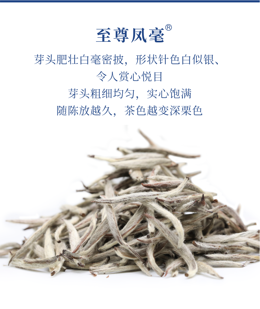 傳世-09至尊鳳毫-5.png