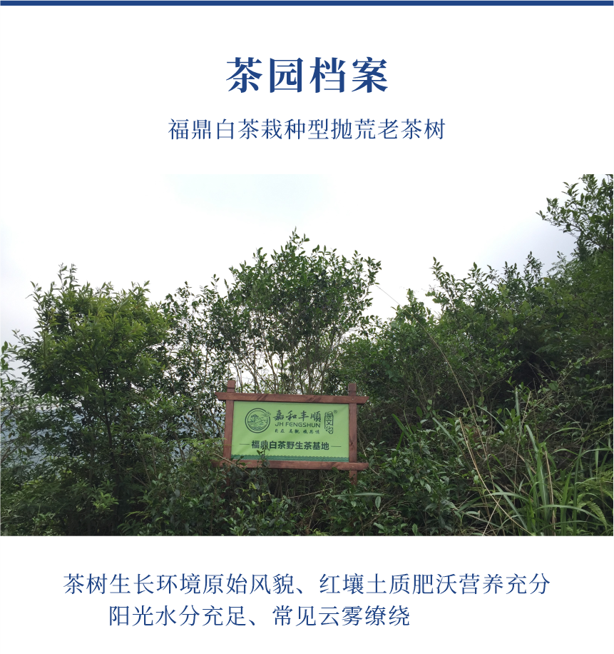 傳世-09至尊鳳毫-10-1.png