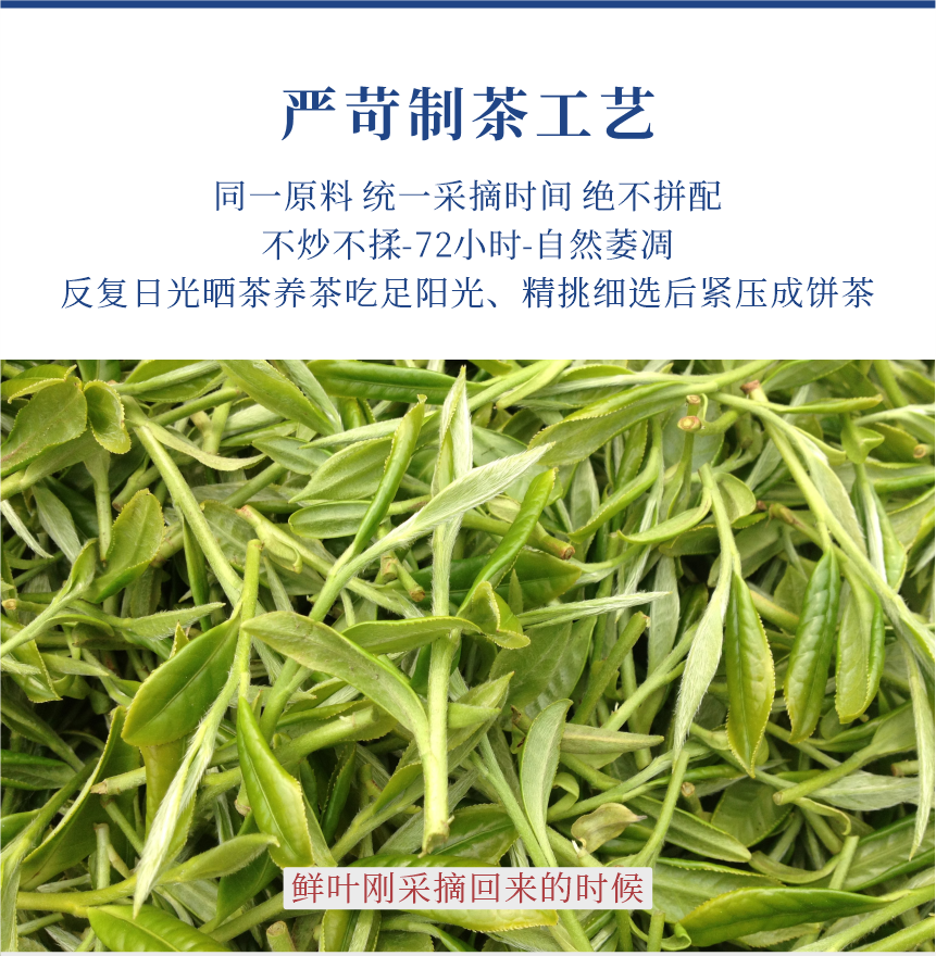傳世-09至尊鳳毫-11-1.png