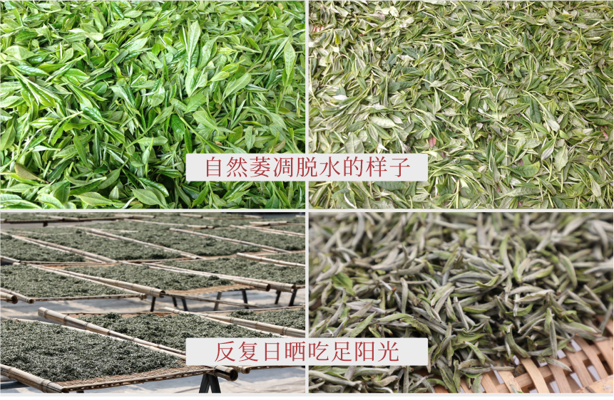 傳世-09至尊鳳毫-11-2.png