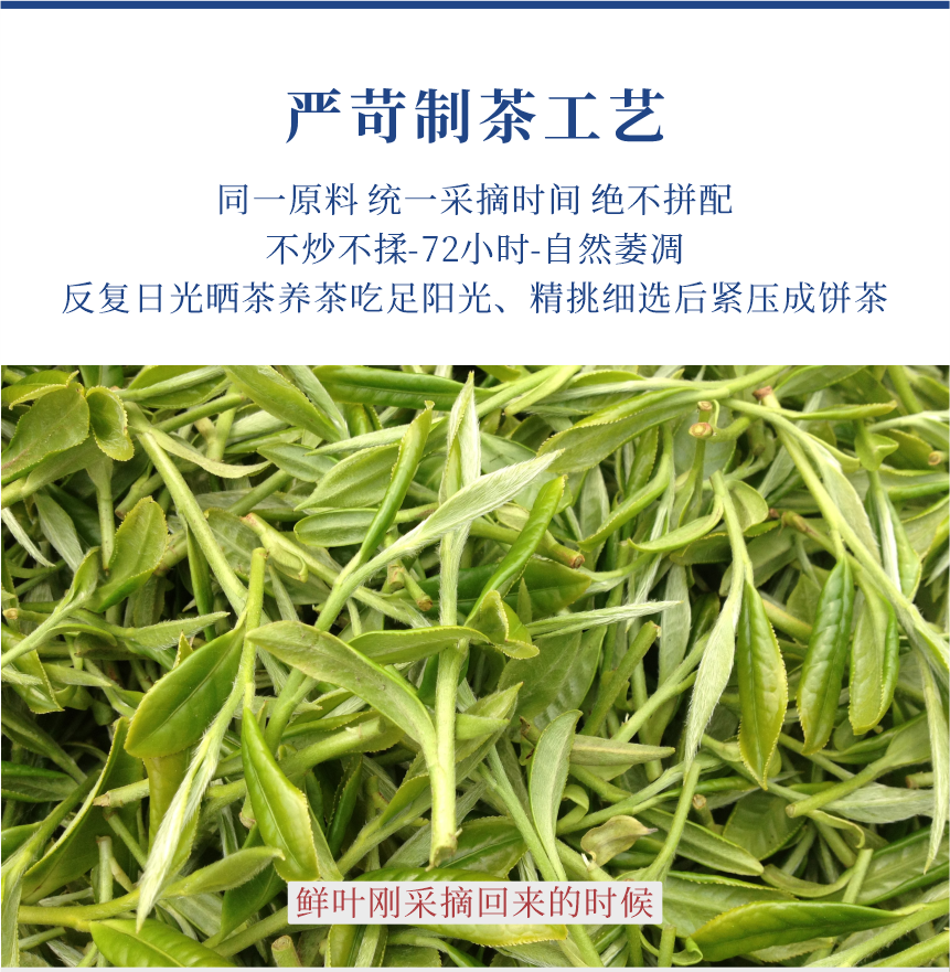 傳世-15至尊鳳毫-11-1.png