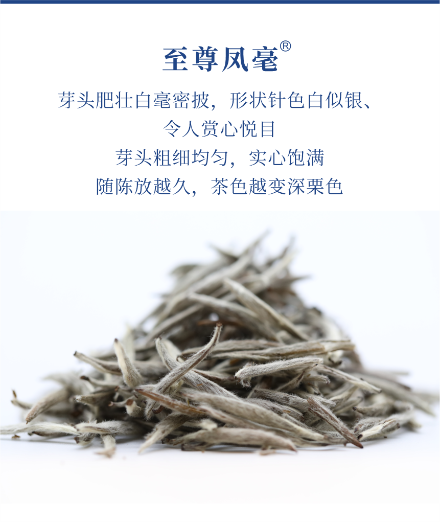 傳世-17至尊鳳毫-5.png