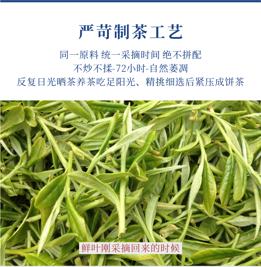 傳世-17至尊鳳毫-11-1.png