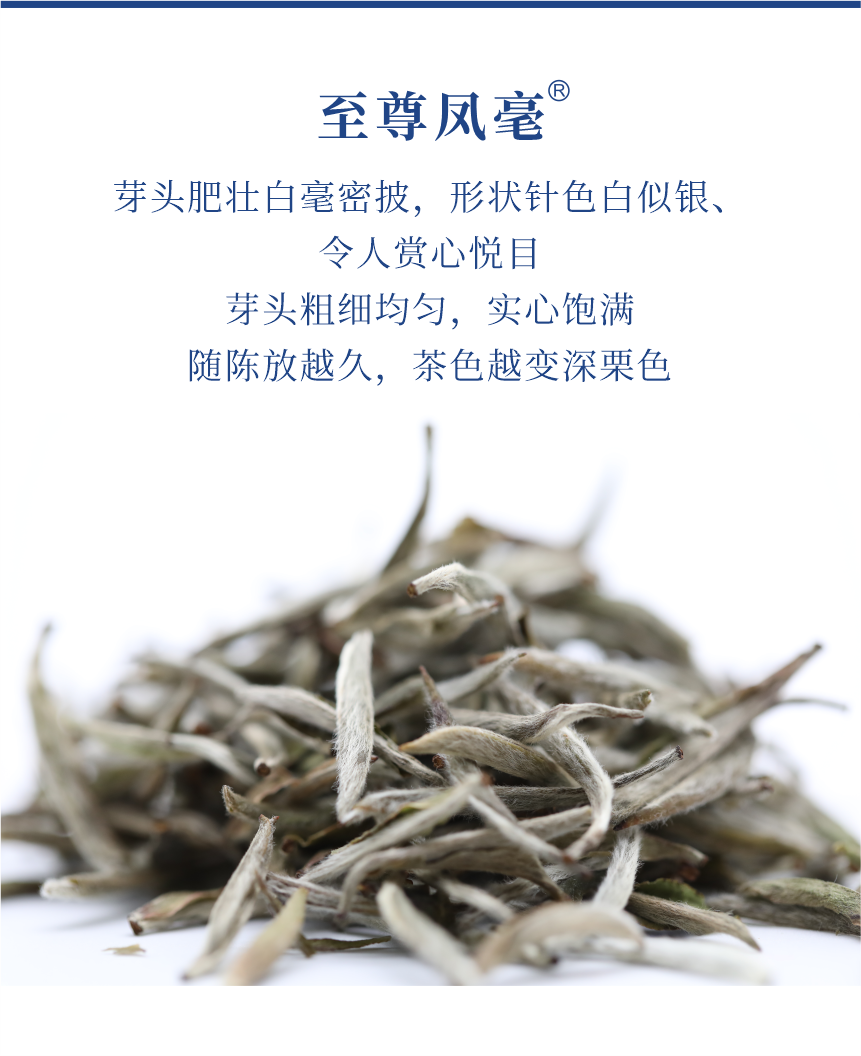 傳世-19至尊鳳毫-5.png