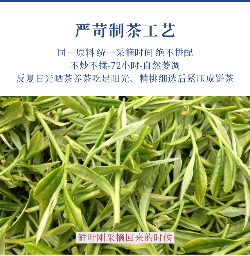 傳世-19至尊鳳毫-11-1.png