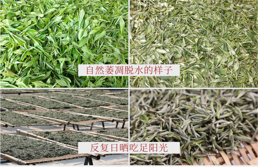 傳世-19至尊鳳毫-11-2.png