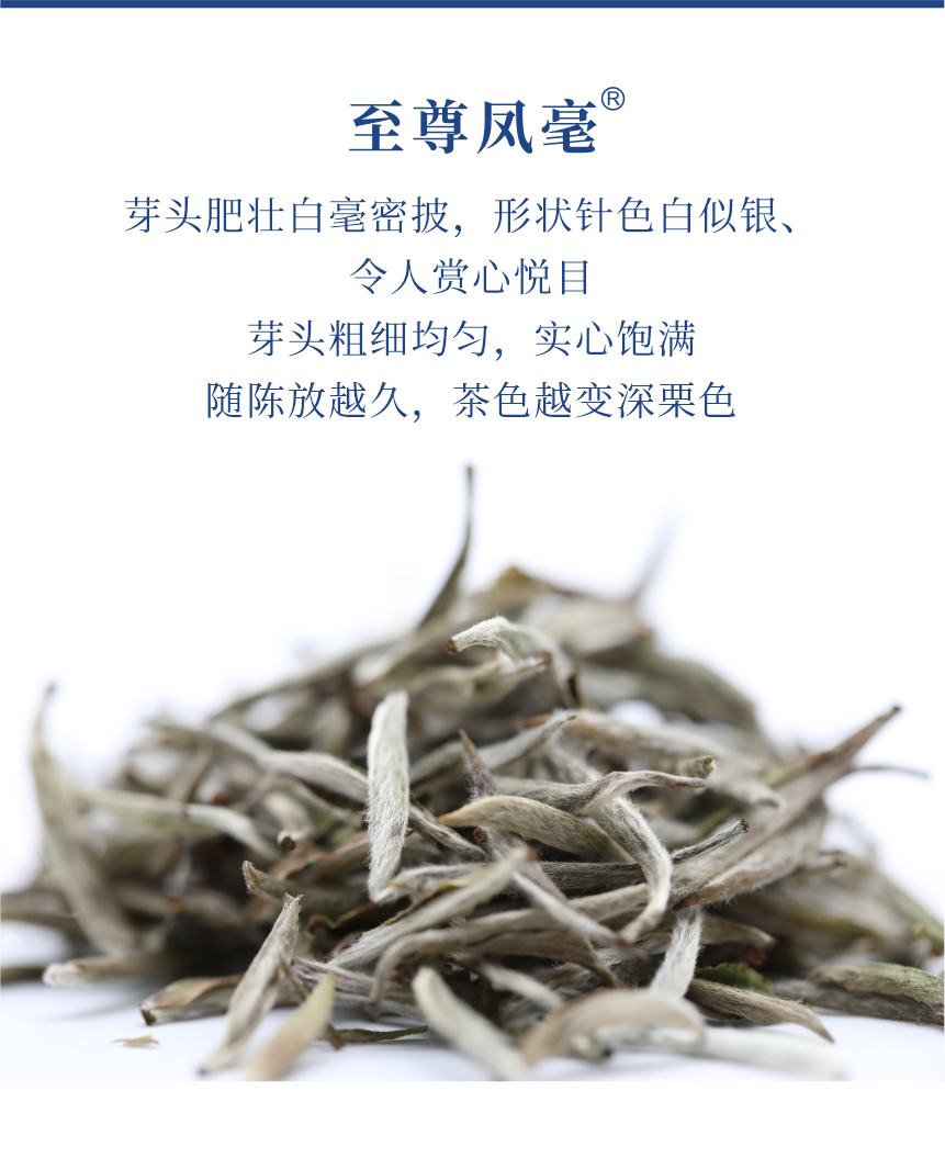 傳世-23至尊鳳毫-5.png