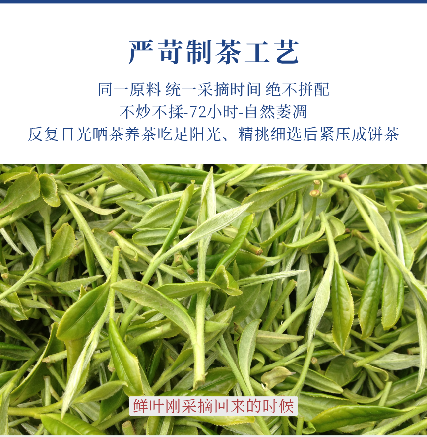 傳世-23至尊鳳毫-11-1.png