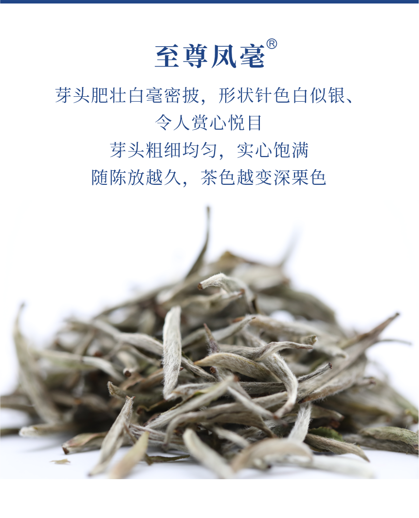 傳世-21至尊鳳毫-5.png
