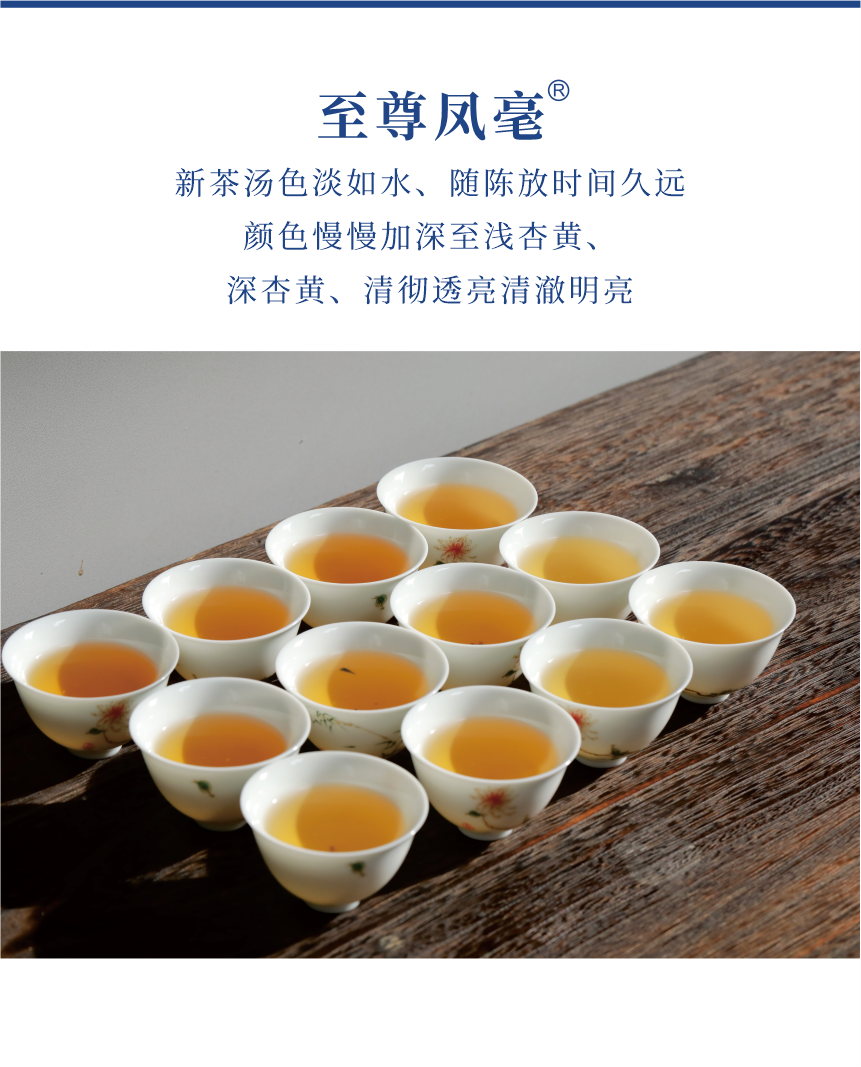傳世-21至尊鳳毫-6.png