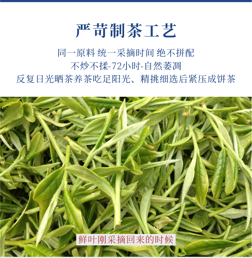 傳世-21至尊鳳毫-11-1.png