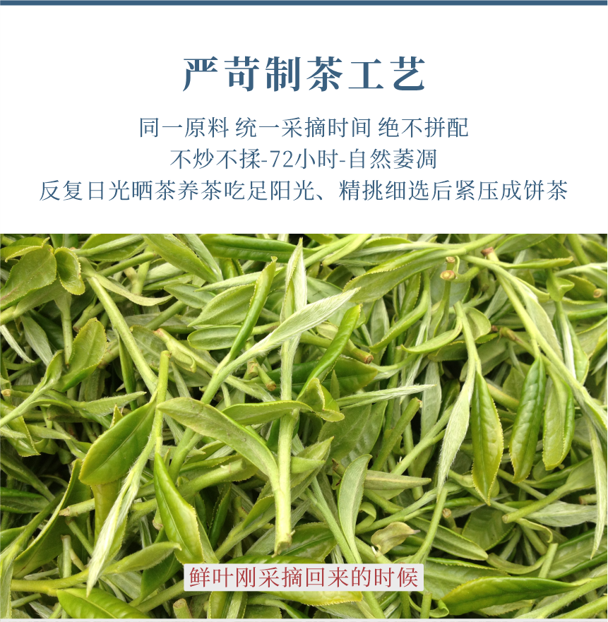 匠心-23至尊鳳毫-11-1.png