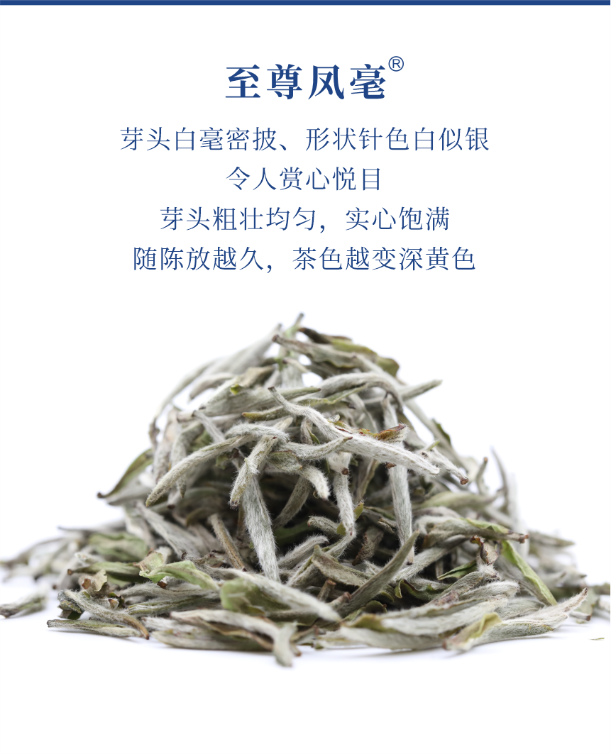 匠心-22至尊鳳毫-典藏裝-5.png
