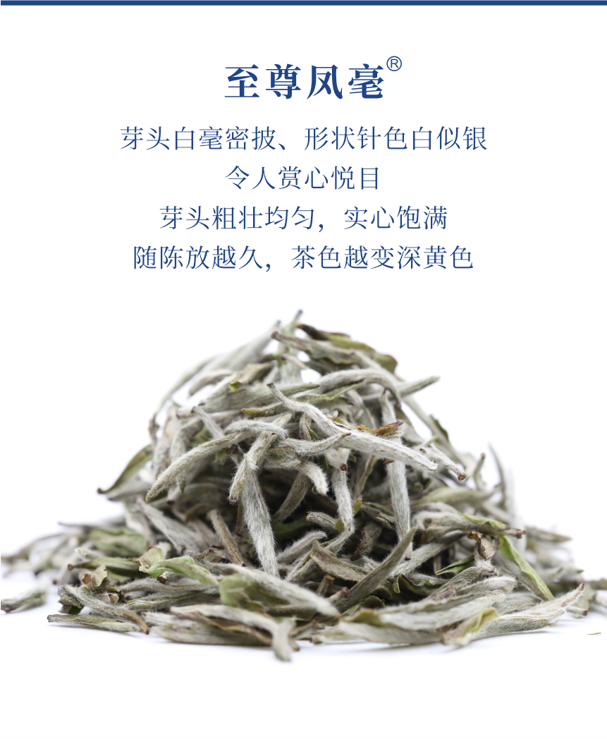 匠心-21至尊鳳毫-5.png