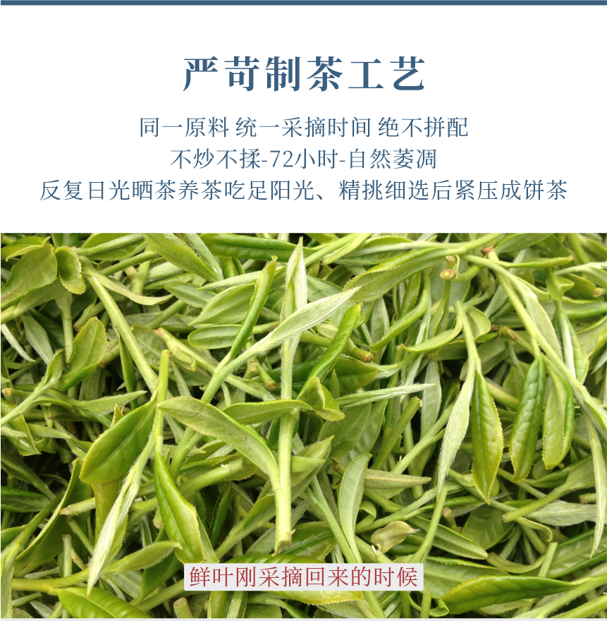 匠心-21至尊鳳毫-11-1.png