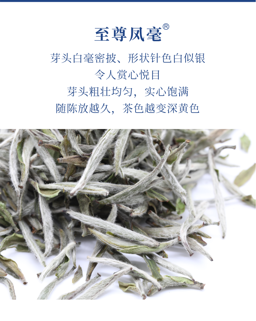 匠心-20至尊鳳毫-5.png