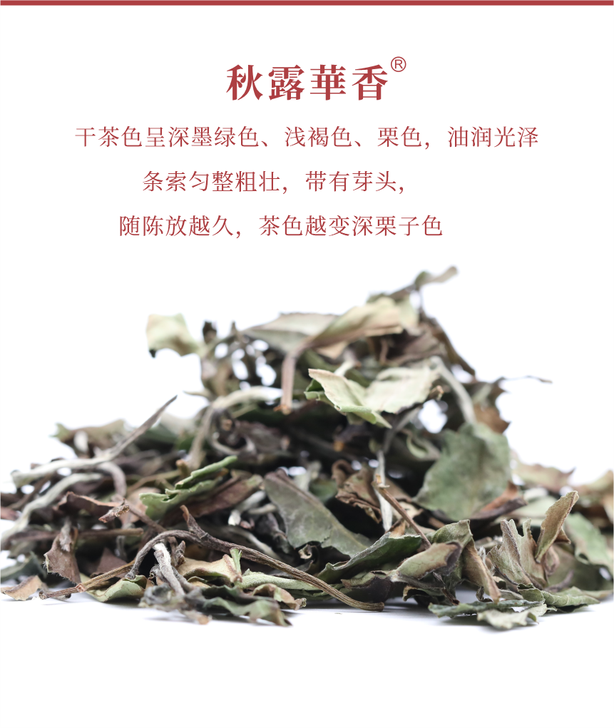 匠心-17秋露華香-5.png