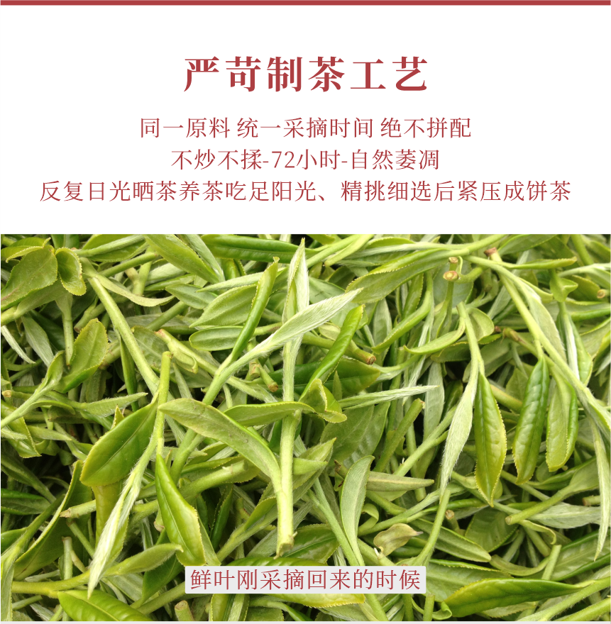 匠心-17秋露華香-11-1.png