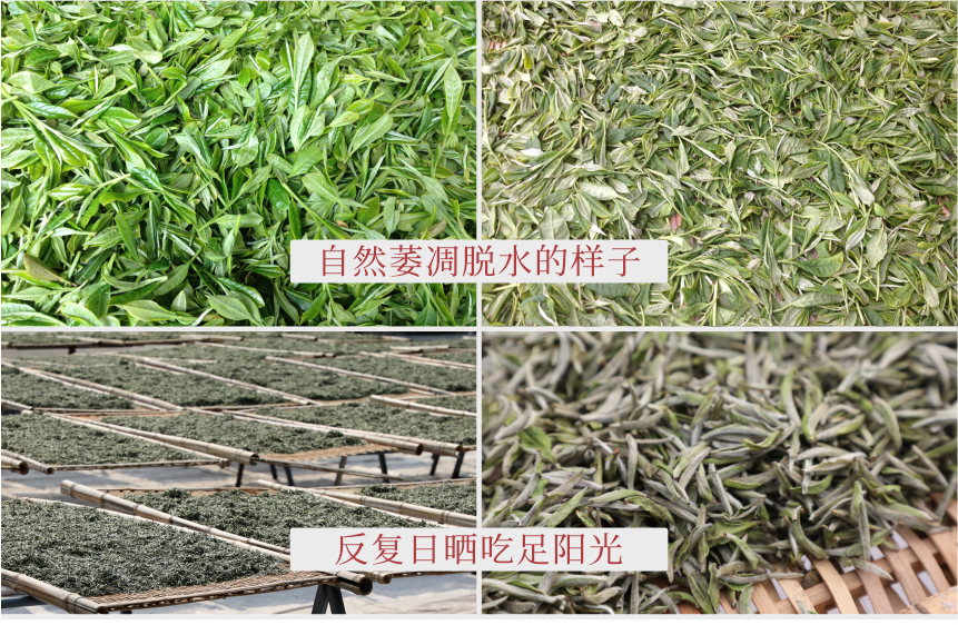 匠心-17秋露華香-11-2.png