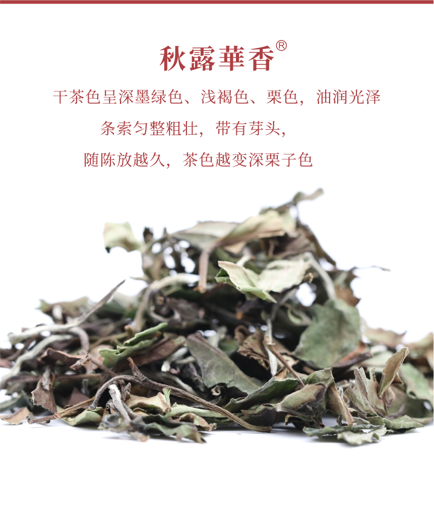 匠心-17秋露華香-典藏裝-5.png