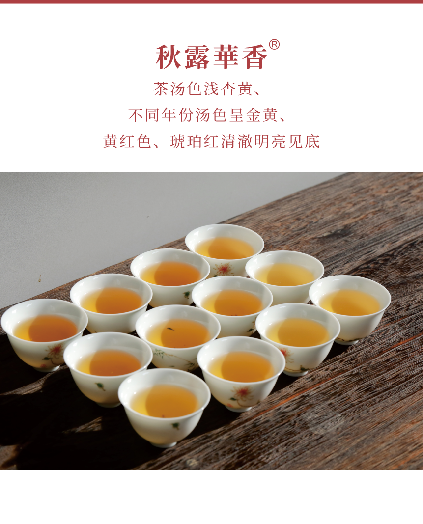 匠心-17秋露華香-典藏裝-6.png