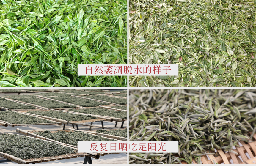 匠心-17秋露華香-典藏裝-11-2.png