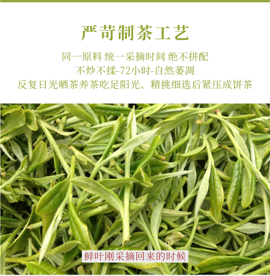 匠心-18春山疏韻-11-1.png