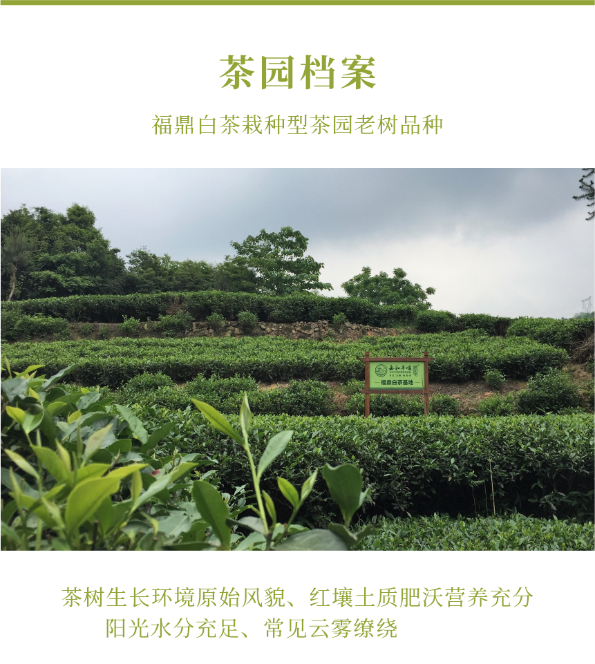 匠心-18春山疏韻-典藏裝-10-1.png