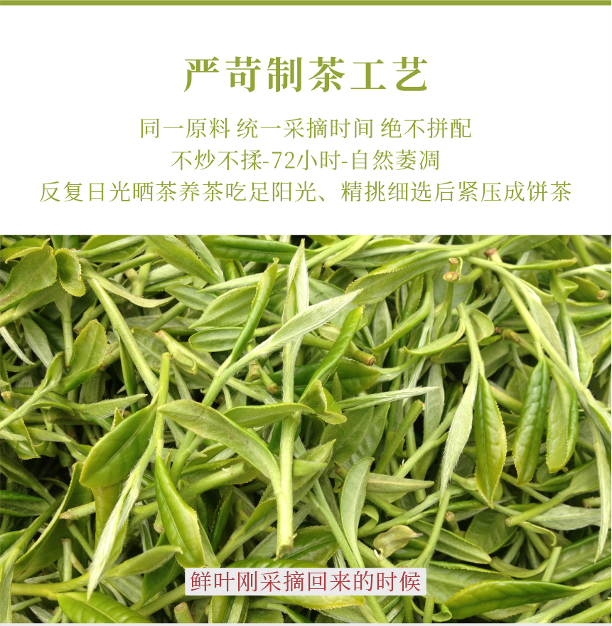 匠心-18春山疏韻-典藏裝-11-1.png