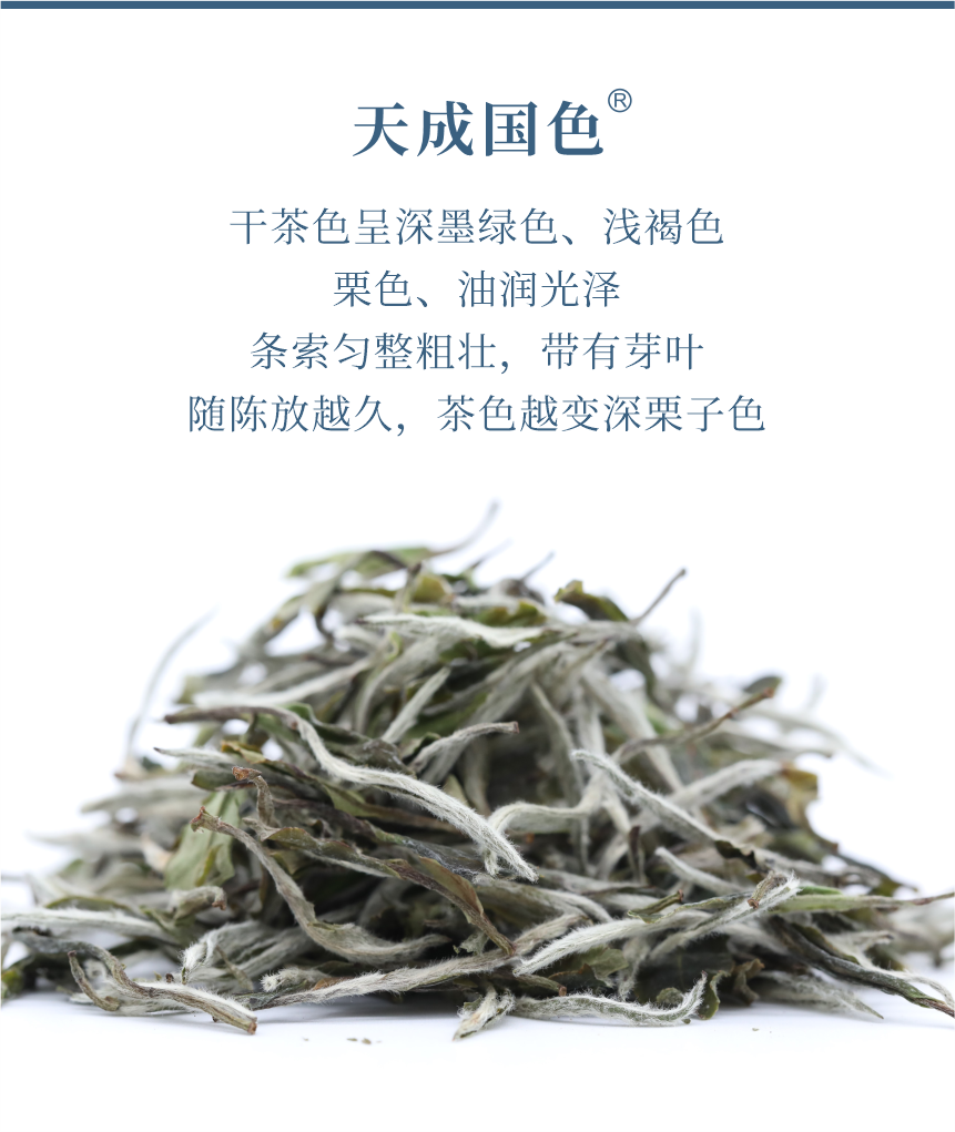 匠心-23天成國色-5.png