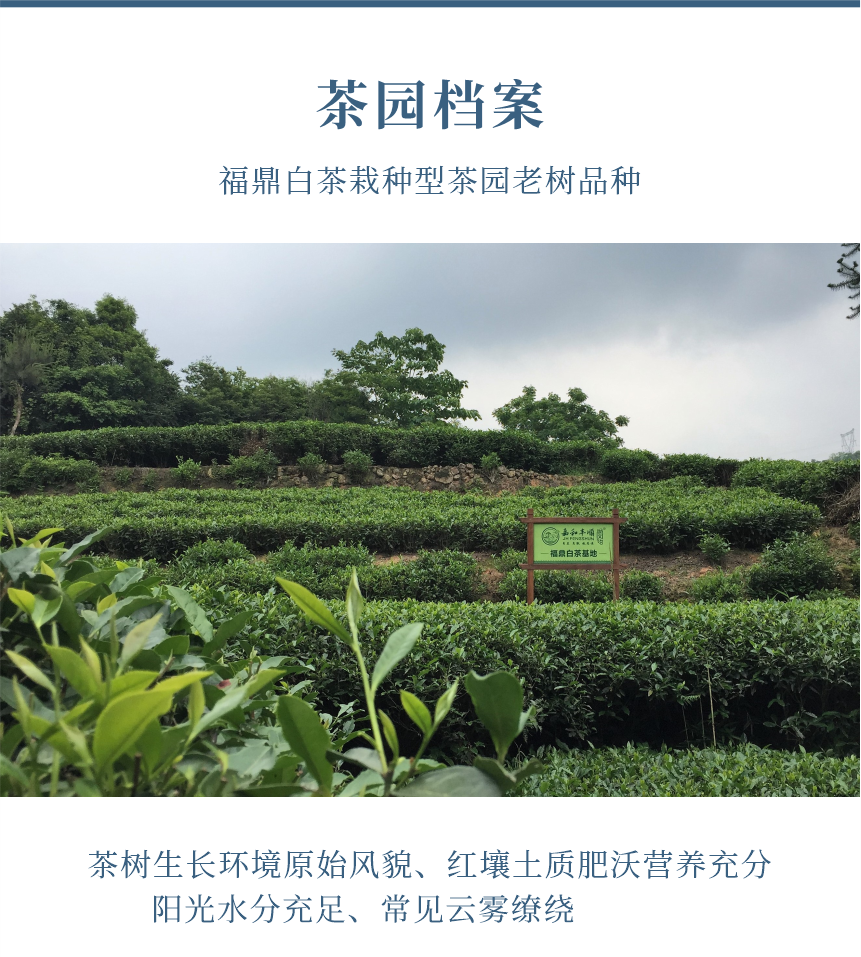 匠心-23天成國色-10-1.png