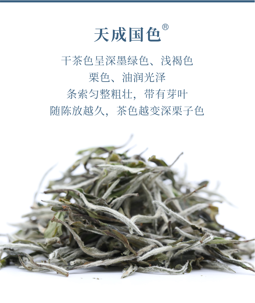 匠心-22天成國色-5.png