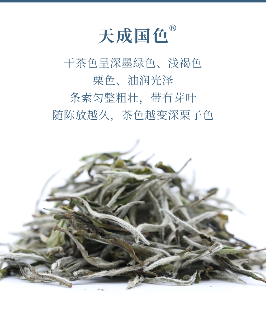 匠心-22天成國色-典藏裝-5.png