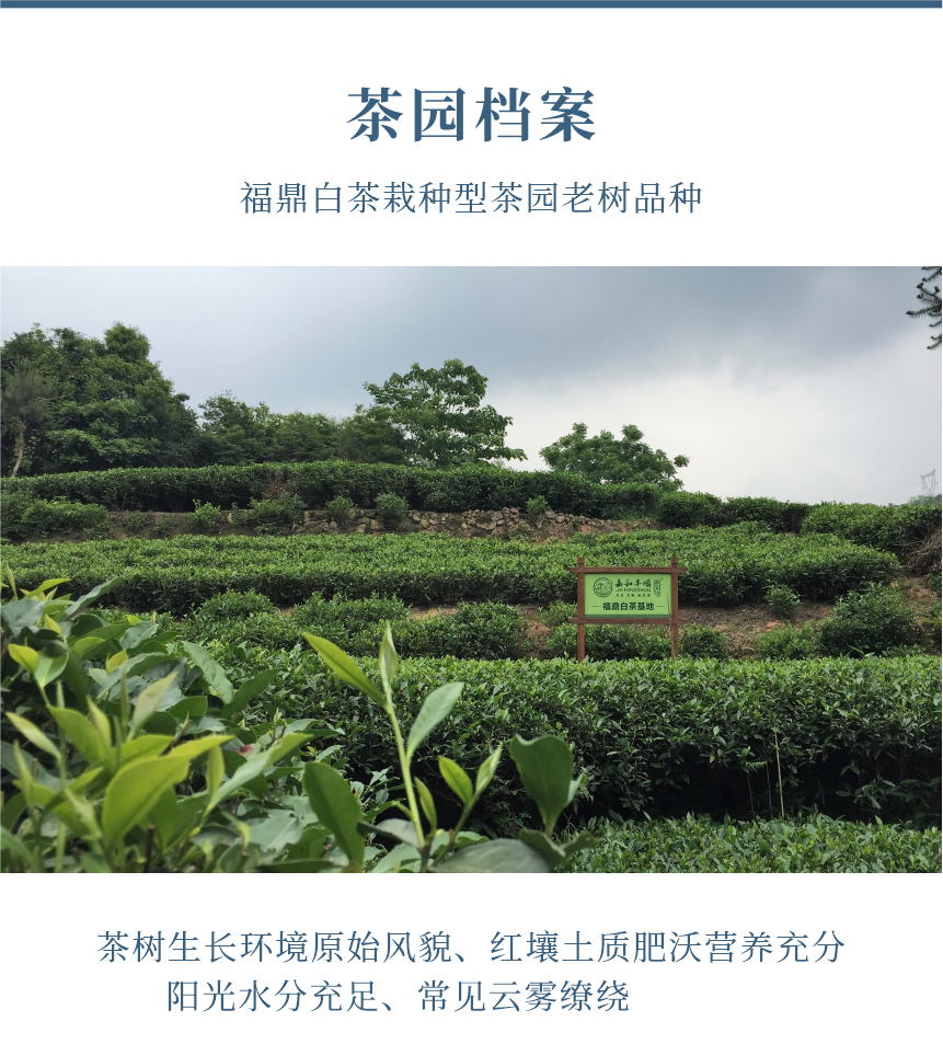 匠心-22天成國色-典藏裝-10-1.png