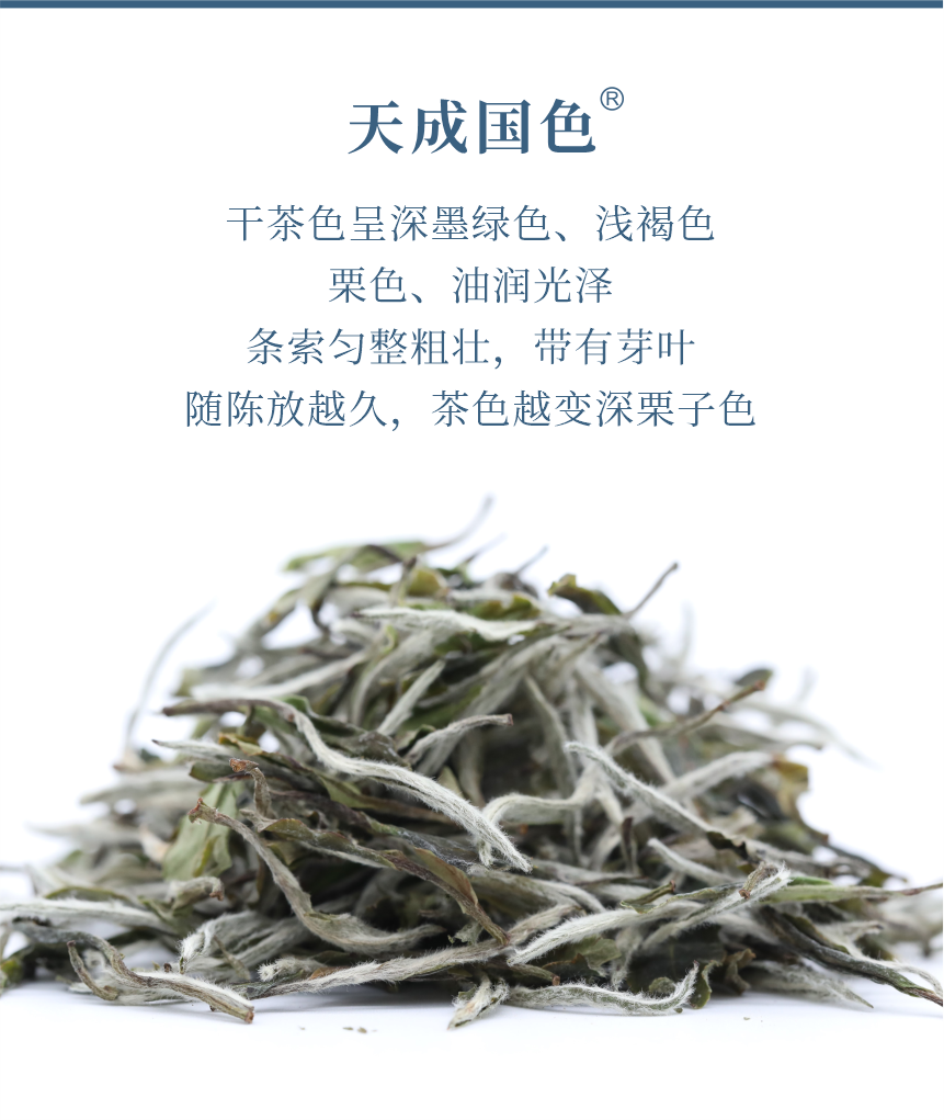匠心-21天成國色-5.png
