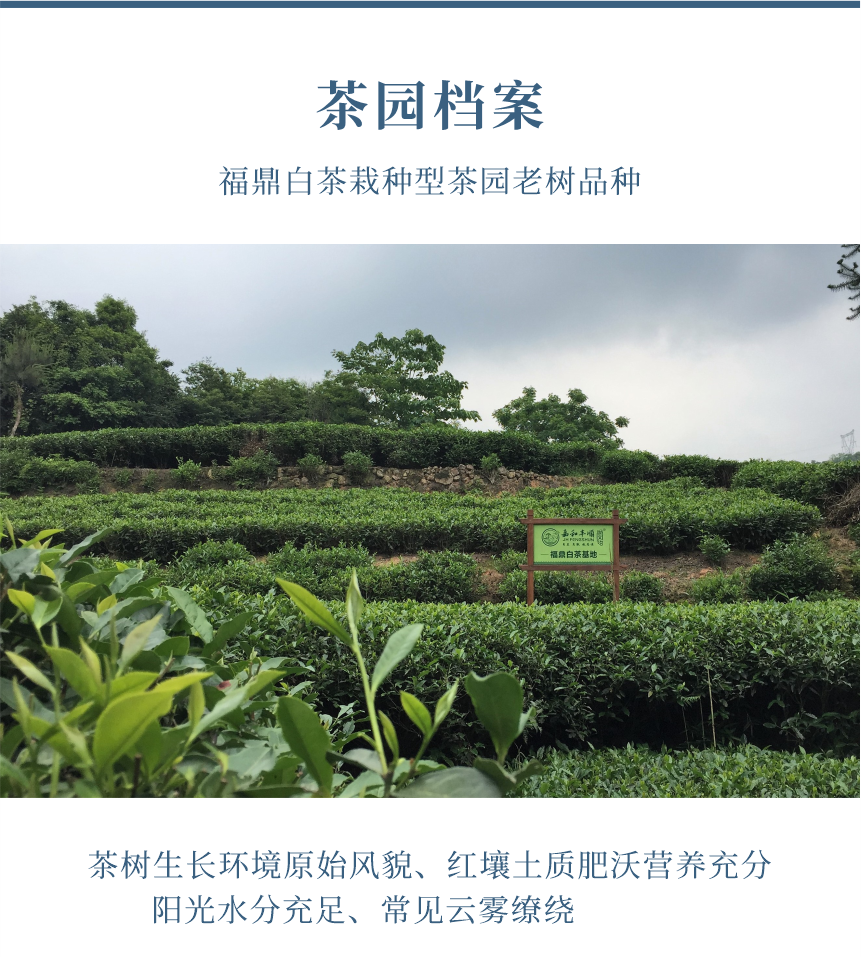 匠心-21天成國色-10-1.png
