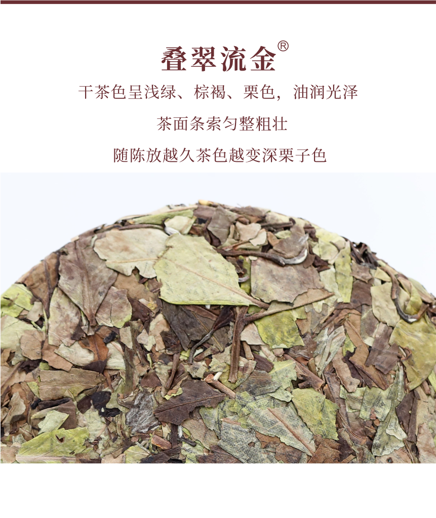 野山-15疊翠流金-5.png