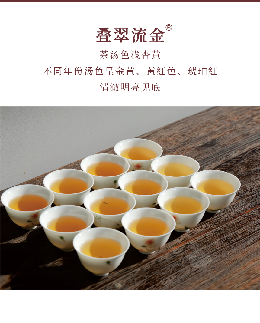 野山-15疊翠流金-6.png