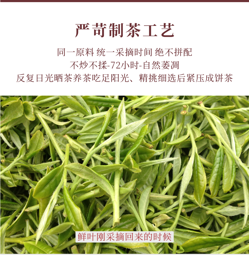 野山-15疊翠流金-11-1.png