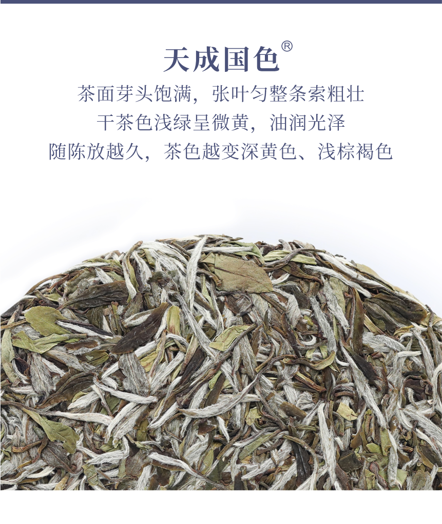 國禮-23天成國色-5.png